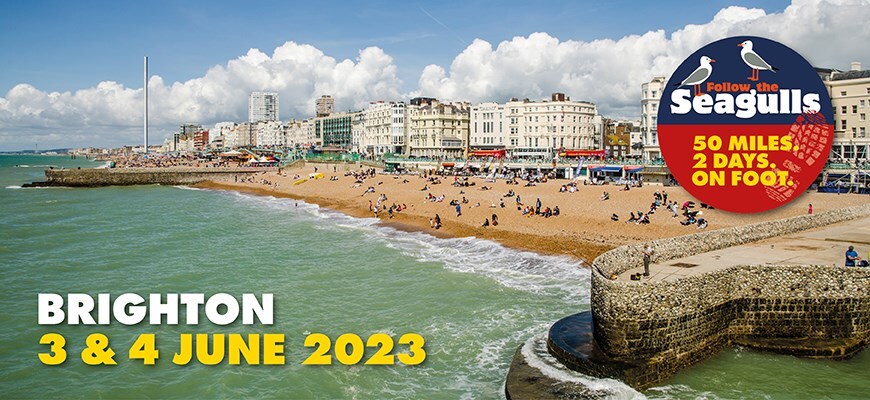 Follow the Seagulls 2023 - Brighton